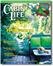 Lifestyle Magazines